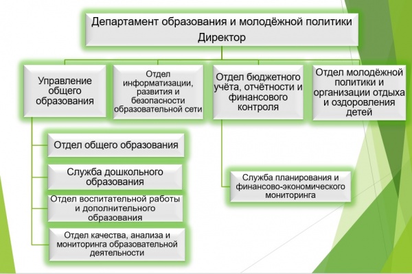 Управление молодежной политики и общественных проектов брянской области